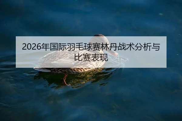 2026年国际羽毛球赛林丹战术分析与比赛表现