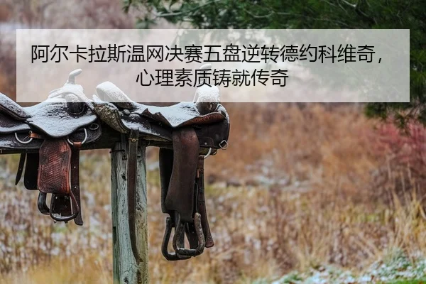 a-er-ka-la-si-wen-wang-jue-sai-wu-pan-ni-zhuan-de-yue-ke-wei-qi-xin-li-su-zhi-zhu-jiu-chuan-qi-2-132.jpg