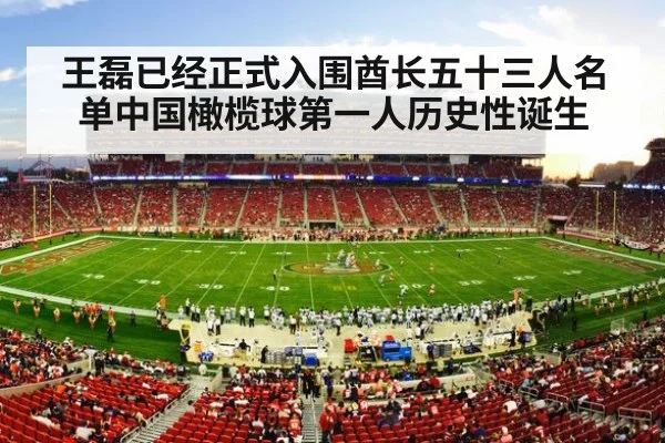 nfl stadium action