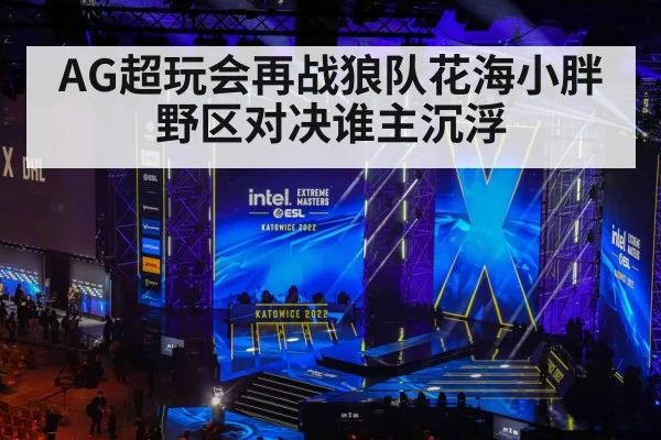 AG超玩会再战狼队花海小胖野区对决谁主沉浮